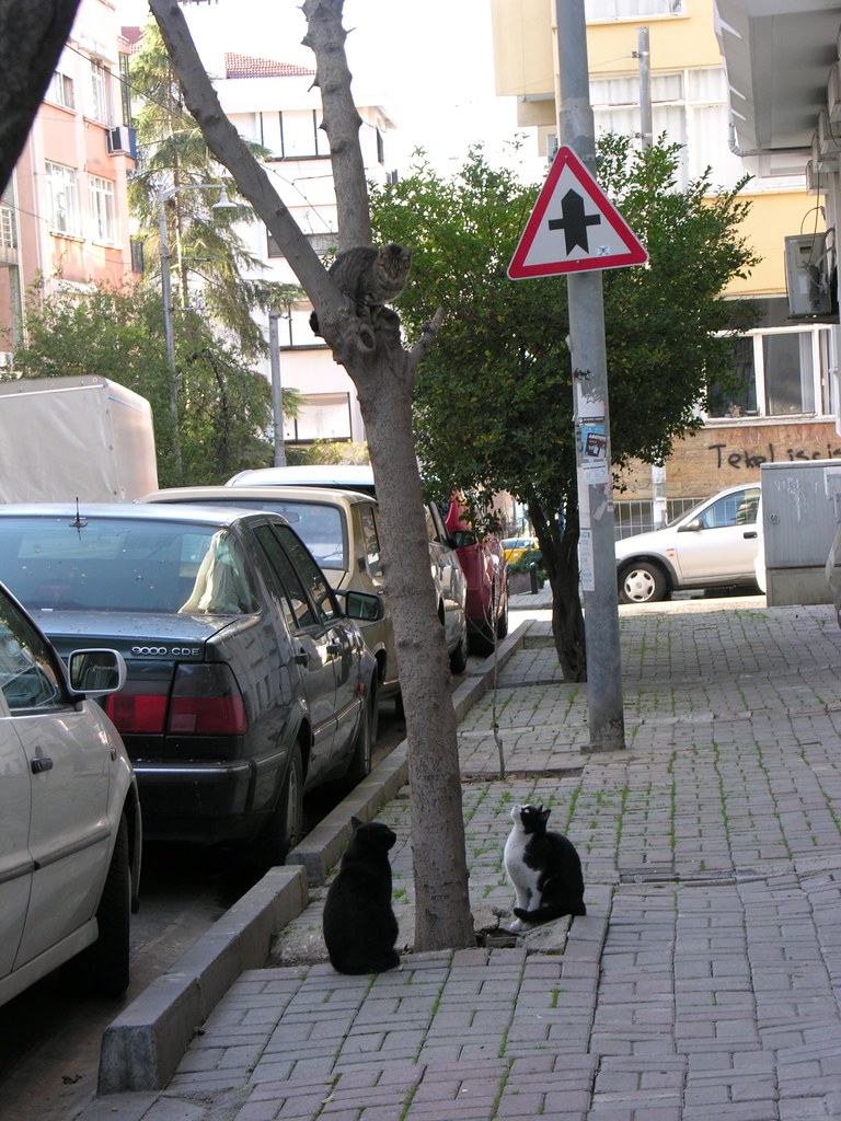 Come on down - if you dare! / Erkeksen in bakalım aşağı!