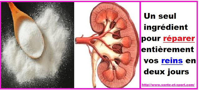 Vous n'aurez besoin que d'un ingrédient pour réparer entièrement vos reins en 2 jours