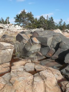 P1000254