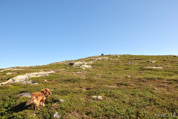 Turufjell 066