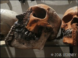 P1430555sm