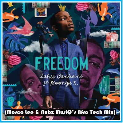 Zakes Bantwini Ft. Moonga  - Freedom (Mosco Lee & Nubz MusiQs Afro Tech Mix)