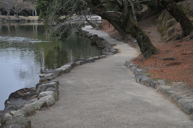 奈良公園清掃活動