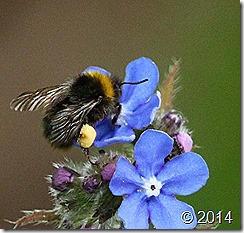 IMG_3480