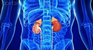 imagem Reprodução  doença renal crônica.