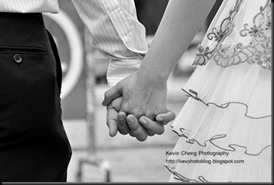 _DSC8991 copy