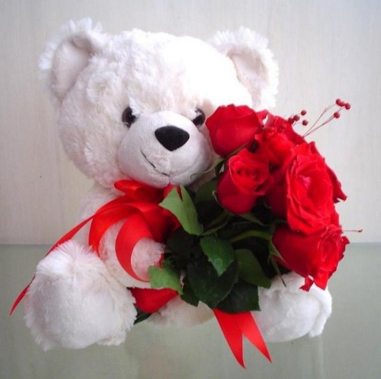 white teddy bear holding red roses