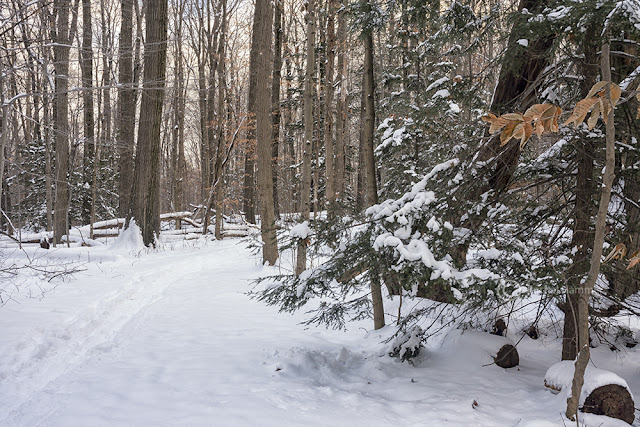 north chagrin reservation