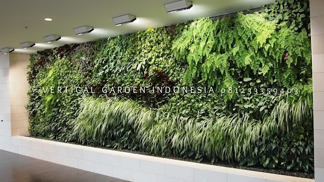 VERTICAL GARDEN INDONESIA SPESIALIS JASA PEMBUATAN VERTICAL GARDEN DI DEMAK JAWA TENGAH DAN DI SELURUH WILAYAH JAWA TENGAH DENGAN TENAGA YANG PROFESIONAL DAN DAPAT DI PERCAYA YANG SELALU MENGUTAMAKAN SEBUAH MUTU DAN KUALITAS PEMASANGAN VERTICAL GARDEN/TAMAN DINDING, JASA TUKANG TAMAN VERTICAL DEMAK JAWA TENGAH, JASA VERTICAL GARDEN DEMAK JAWA TENGAH