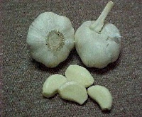 Bawang Putih