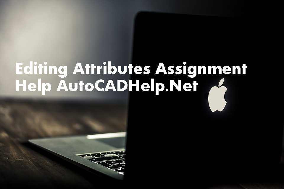 Locating Database Records Through Drawing Objects Assignment