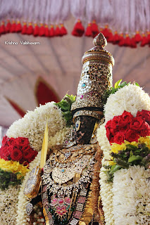 Sri Parthasarathy Perumal, Venkata KRishnan,Kodai Utsavam,Purappadu, 2018, Video,Divya Prabhandam,Triplicane,Thiruvallikeni,Utsavam,