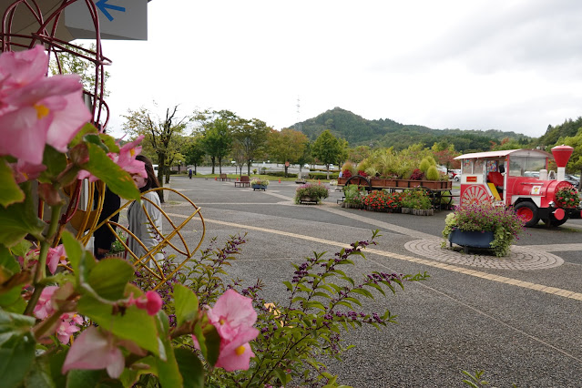 鳥取県西伯郡南部町鶴田　とっとり花回廊　ゲート前展示