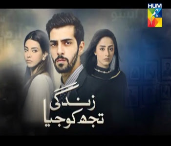 Zindagi Tujhko Jiya Episode 22 on Hum Tv in High Quality 29th March 2016