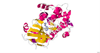 Akt-1-inhibitor complexes (Source:jmol)