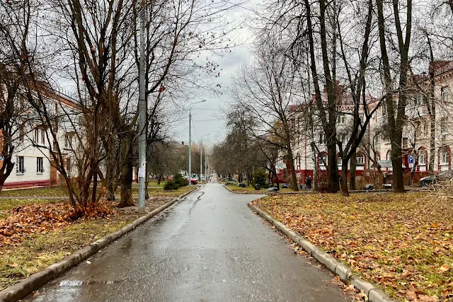 Видное, улица Павла Фёдоровича Гаевского, Заводская улица, дворы