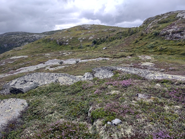 Kristnatten Dyreskard Skardssetera