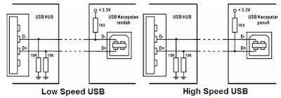 The USB cable signals