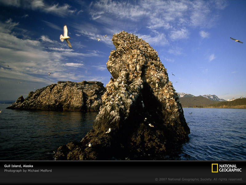 wallpapers national geographic. national geographic wallpapers