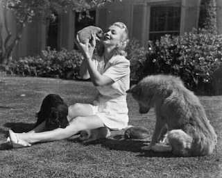 Carole Landis With Her Dogs