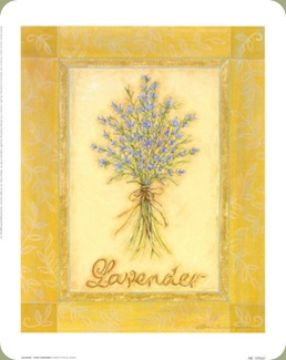 renee-jardine-lavender-herb-collection