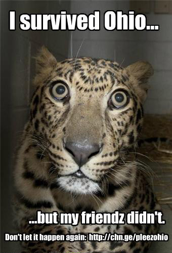 Change.org calls on Gov. Kasich to ban sale of exotic animals in Ohio