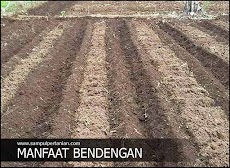 Manfaat bedengan bagi teknologi budidaya sayuran, palawija dan buah-buahan