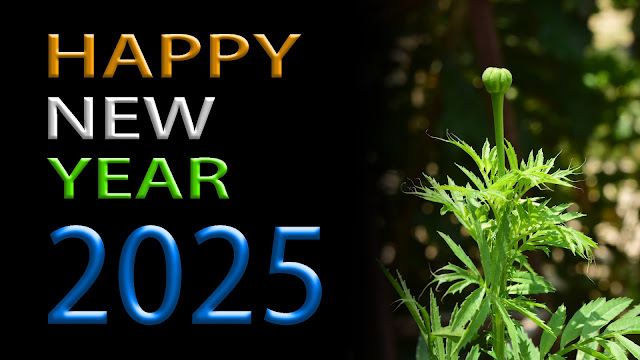 happy new year 2025 HD images