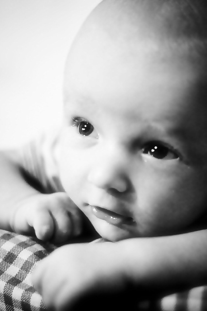 beautiful photos of babies