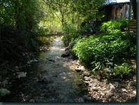 DSCN5319