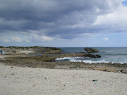 This is Punta Sur, one of the beaches in Cozumel. Limestone rock formations . (cozumel beach)