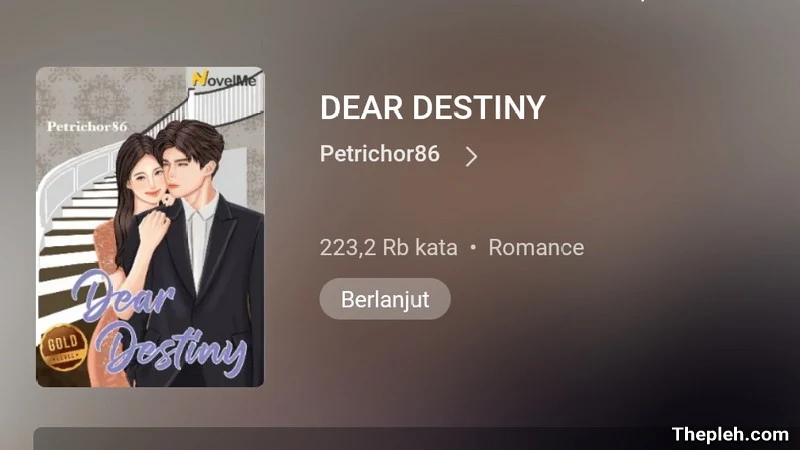 Novel Dear Destiny Full Bab