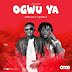 Endless Ft. Quincy – “Ogwu Ya” (The Cure)