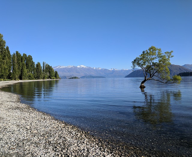 Lake Wanaka, diamond lake wanaka, rotorua, lake wanaka resort, queenstown, wanaka, wanaka new zealand, lake wanaka new zealand, wanaka tree, wanaka to queenstown,