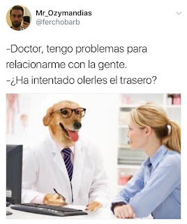 meme dogtor