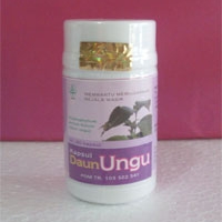 kapsul daun ungu