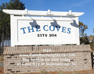Entry sign for the coves and came back
