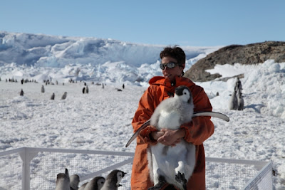  Hilangnya Lapisan Es Di Antartika Mengancam Populasi Pinguin Emperor  Pintar Pelajaran Hilangnya Lapisan Es Di Antartika Mengancam Populasi Pinguin Emperor