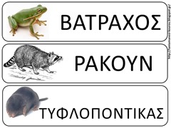 ΝΑΡ4