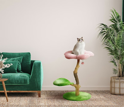 درخت گربه گلدار مدرن با پایه سبز و سطح پایین، سطح بالایی صورتی و یک گربه