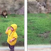 Ιαπωνία: Η σοκαριστική στιγμή που ένα λιοντάρι ορμάει σε αγοράκι (Βίντεο)  