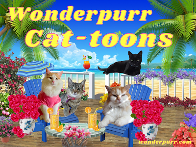 www.wonderpurr.com