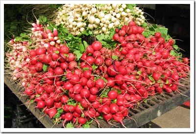 radishes