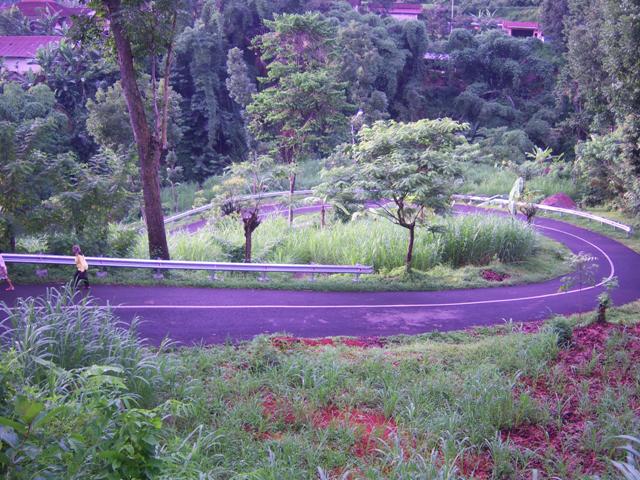Image Wisata Jember Rembangan