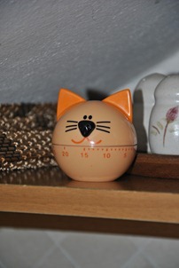 cat 011