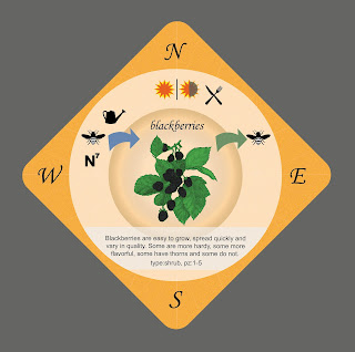 The blackberry playing card for the Food Forest card game based on Permaculture principles