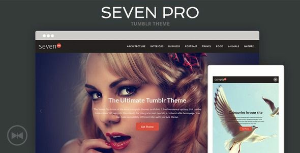 Best Premium Tumblr Theme