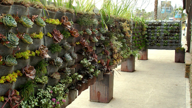Restaurante tem muro com jardim vertical