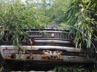 Cemitério de carros no Japão foto 31