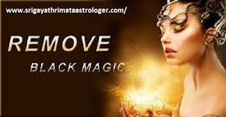 www.srigayathrimataastrologer.com/